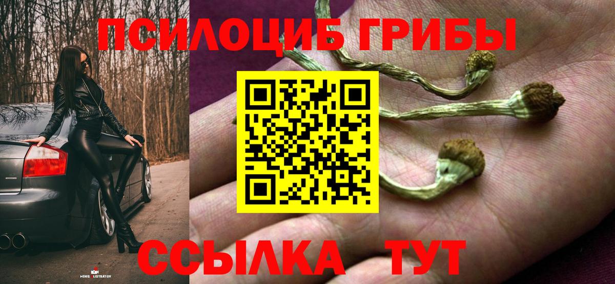 Галлюциногенные грибы Psilocybine cubensis Беслан